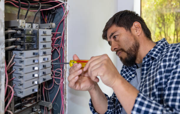 Best Electrical Repair Services  in Halls, TN